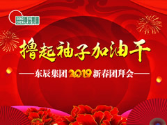 東辰集團2019新春團拜會(huì )網(wǎng)絡(luò )直播