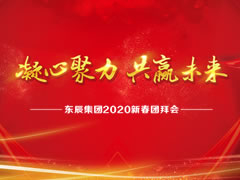 東辰集團2020新春團拜會(huì )網(wǎng)絡(luò )直播