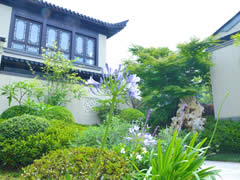 在春天的院子里，享受詩(shī)和遠方