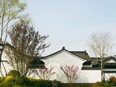 落雨煙花江南，邂逅仙海院子